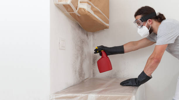 Professional Crawl Space Mold Removal technician working in Oakhurst, NJ