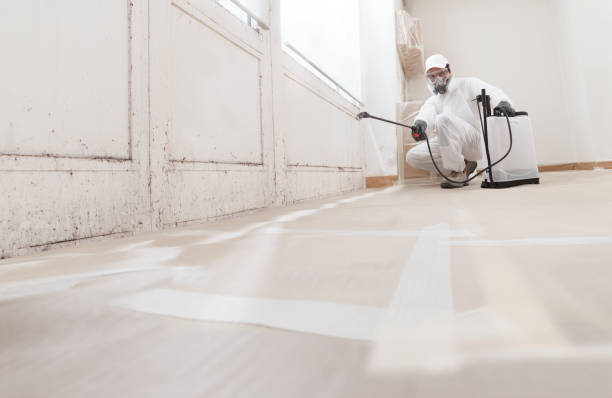 24/7 Emergency Crawl Space Mold Removal experts in Oakhurst, NJ
